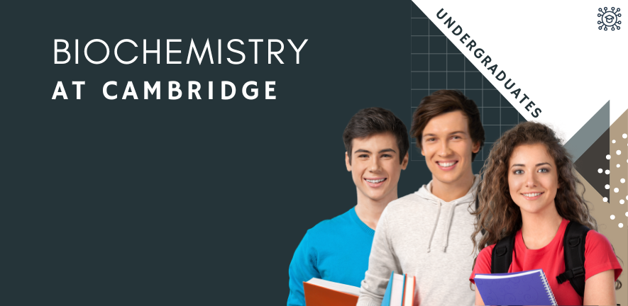 Find out about Undergraduate Courses in Biochemistry