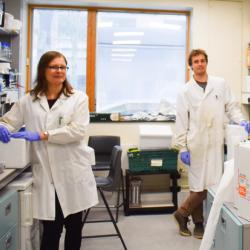 Members of the Luisi Group in the laboratory during lockdown.