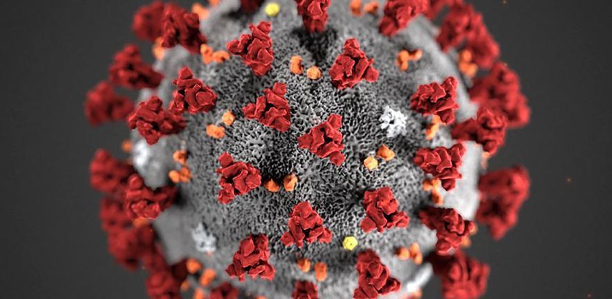 Illustration of the SARS-CoV-2 virus. Illustration of the SARS-CoV-2 virus.